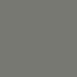 U596 Arctic Gray /Soft Matt/