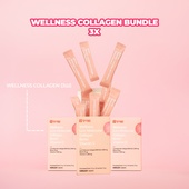 WELLNESS COLLAGEN BUNDLE 3X