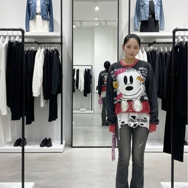 Micemouse chuluut tsamts