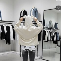 Micemouse chuluut tsamts