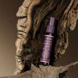 All in one эмэгтэйчүүд-н бэлдмэл