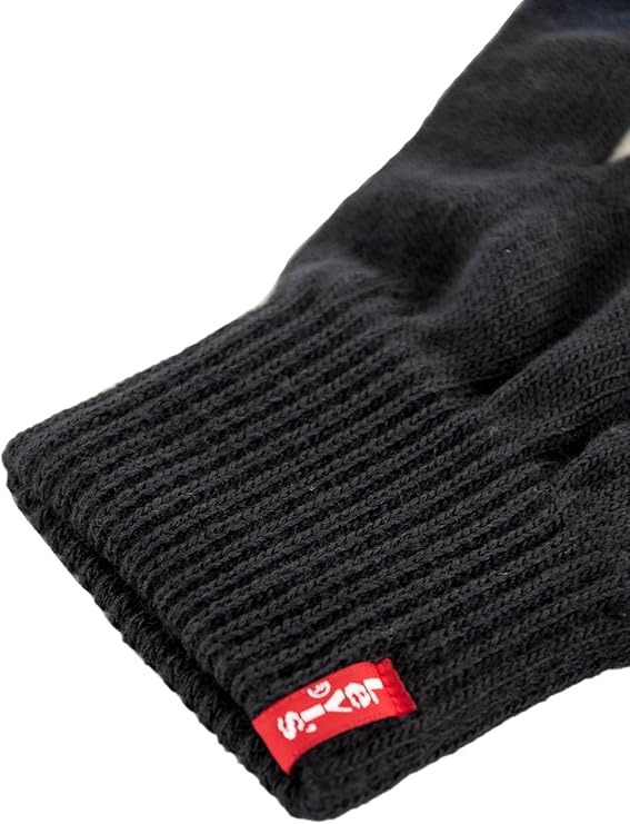 PAISLEY BANDANA B TCH SCRN GLOV NAVY