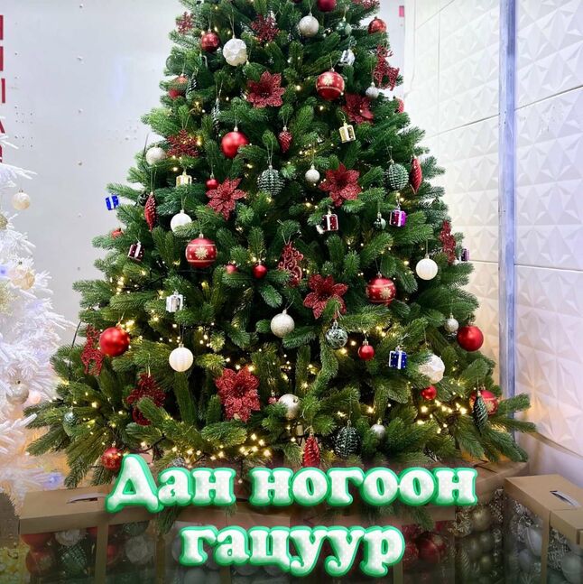 Цэвэр pe дан ногоон гацуур