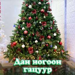 Цэвэр pe дан ногоон гацуур