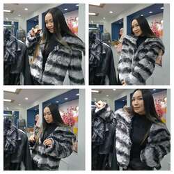 Дуураймал рекс туулайн үслэг