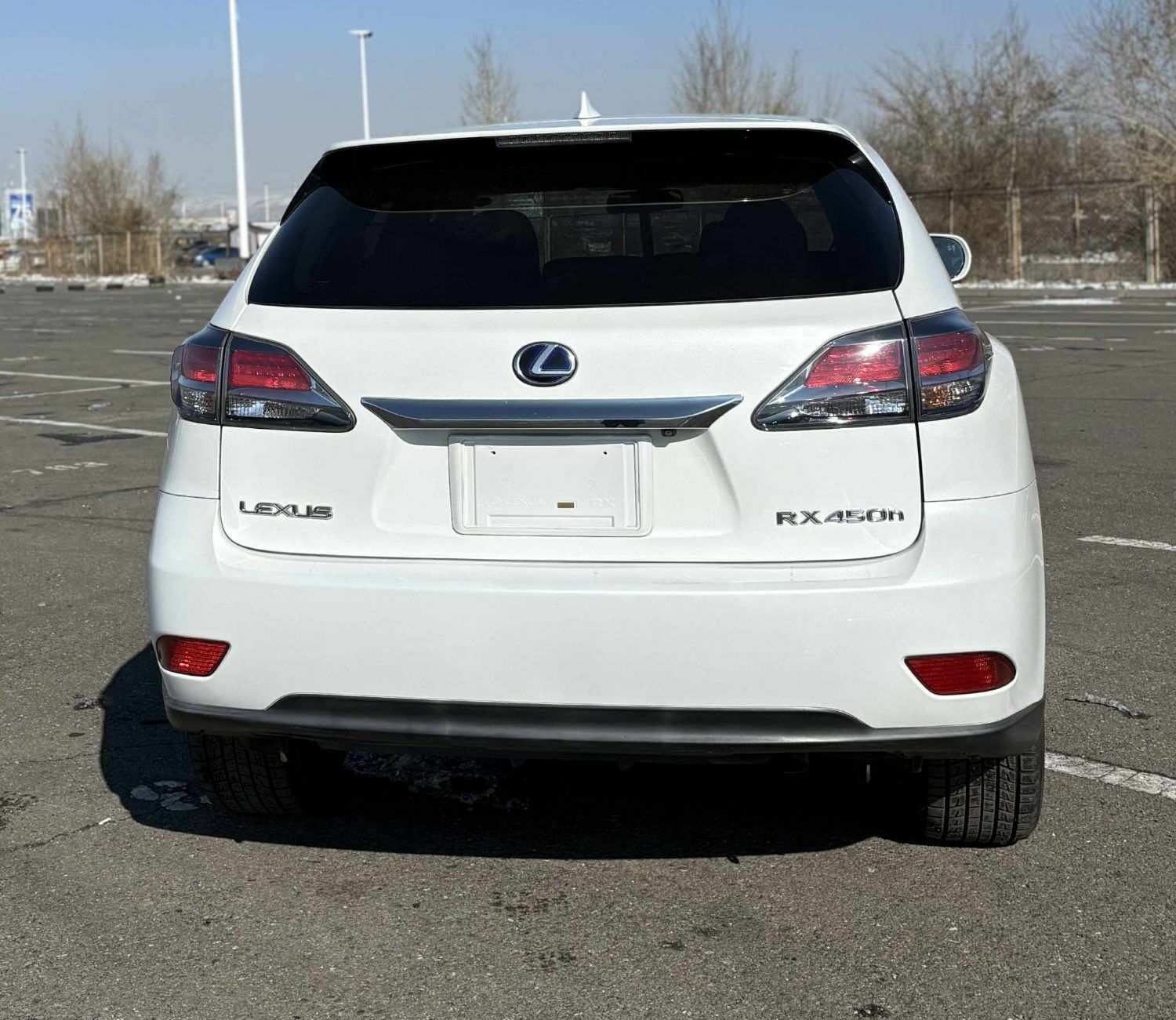 Lexus rx450h 2013/25 zarna