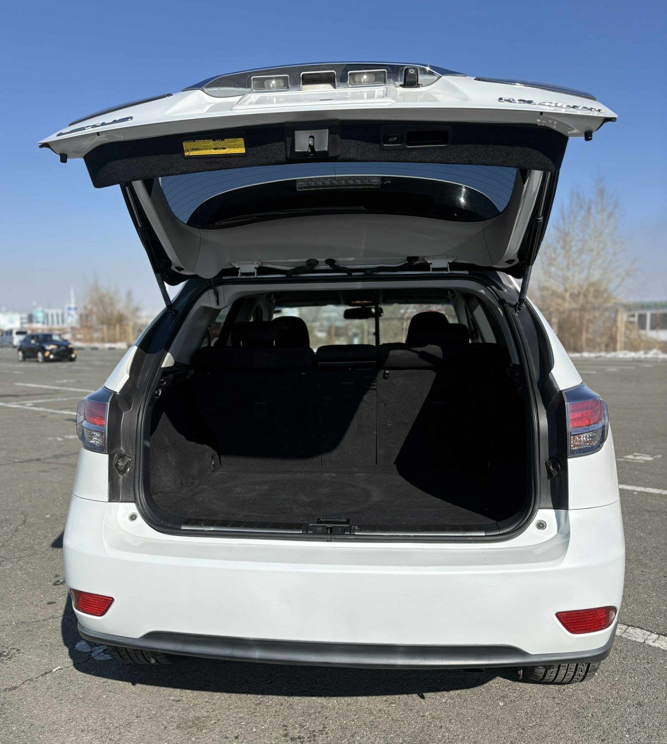 Lexus rx450h 2013/25 zarna