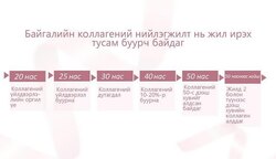 Коллаген-collagen