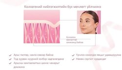 Коллаген-collagen