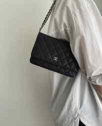 Chanel wallet on chain bag