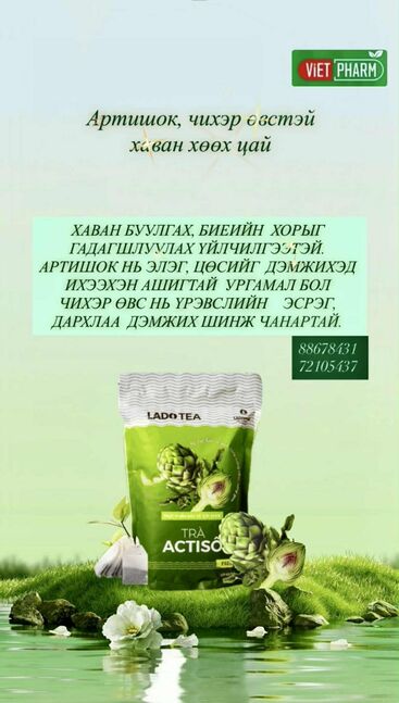 Хаван буулгах артишокдоо цай