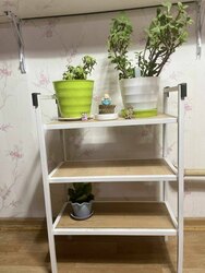 Sandaltai gutliin tawiur