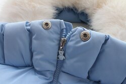 Тэрэгний мишок