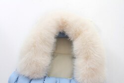 Тэрэгний мишок