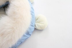 Тэрэгний мишок