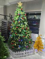 Канад гацуур 