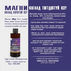 Шидэт шингэн магни