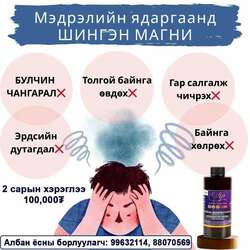 Шидэт шингэн магни