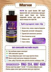 Шидэт шингэн магни