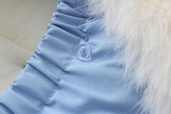 Тэрэгний мишок