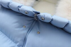 Тэрэгний мишок