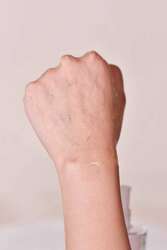 Пудрийн хор тайлагч