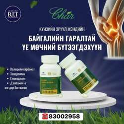 #ясны_хамгаалагч