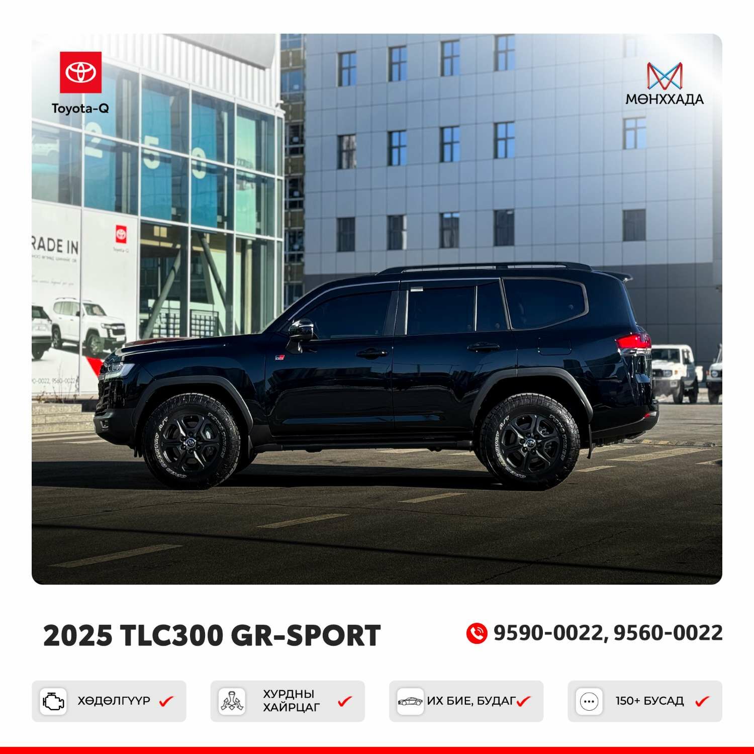 Tlc 300 gr-sport 2025/2025
