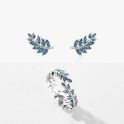 Мөнгөн ээмэг, бөгж