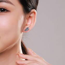 Мөнгөн ээмэг, бөгж