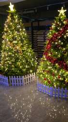 Канад гацуур 180см