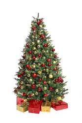 Канад гацуур 180см