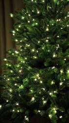 Канад гацуур 180см