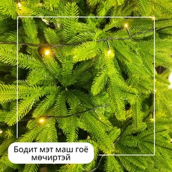 2,4м 100%pe гацуур мод