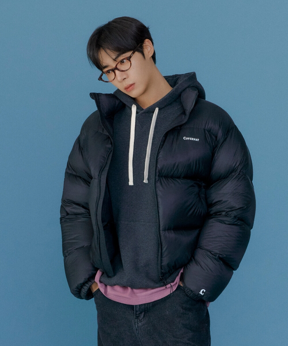 Civic Ripstop Short Down