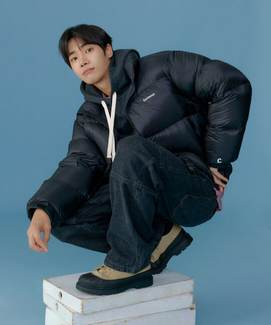 Civic Ripstop Short Down