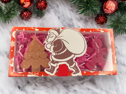 Шинэ жилийн бэлгийн багц