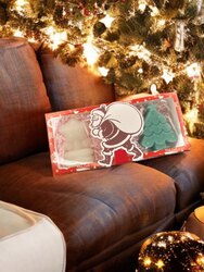 Шинэ жилийн бэлгийн багц