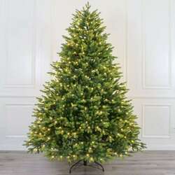 Өөр дээрээ гэрэлтэй цэвэр пе