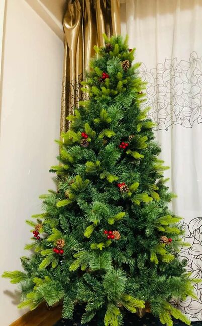 Гацуур pe 2.10м