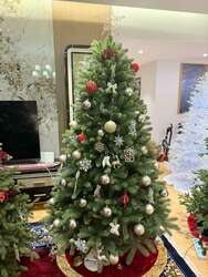 Канад гацуур