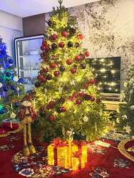 Канад гацуур