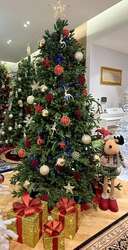 Канад гацуур