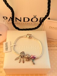 Pandora бугуйвч чарм