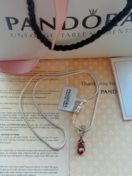 Pandora мөнгөн гинж