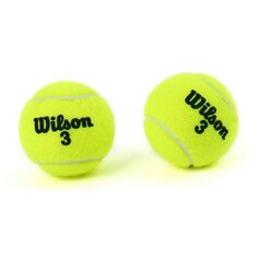 Теннис бөмбөг