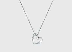 Мөнгөн хүзүүний зүүлт