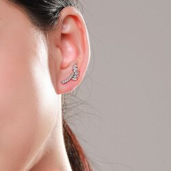 Мөнгөн ээмэг