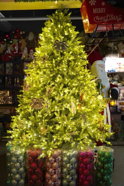 Гацуур special offer загвар