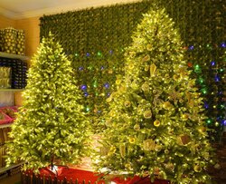 Гацуур special offer загвар